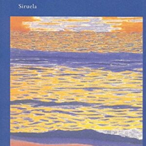 Portada de Michel Hulin La mística salvaje Editorial Siruela