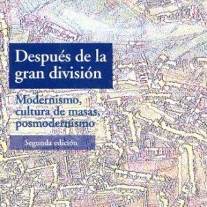 Portada de Andreas Huyssen Despúes de la gran división Editorial Adriana Hidalgo