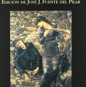 Portada de Anónimo El baladro del sabio Merlín Editorial Miraguano