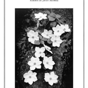 Portada de Ralph Waldo Emerson Ensayos Editorial Cátedra Letras Universales