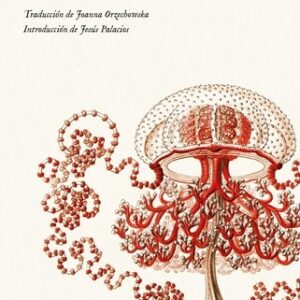 Portada de Stanislaw Lem Solaris Editorial Impedimenta