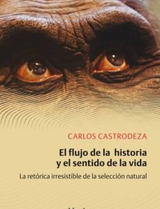 Portada de Carlos Castrodeza El flujo de la historia y el sentido de la vida Editorial Herder