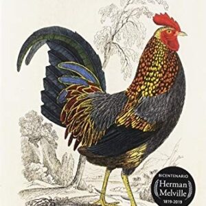 Portada de Herman Melville Cuentos completos Editorial Alba