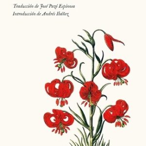 Portada de Natsume Soseki Botchan Editorial Impedimenta