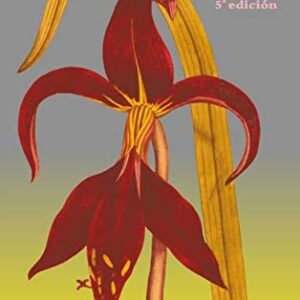 Portada de Morosa di Giorgio La flor de lis Editorial Cuenco del plata