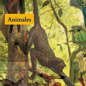 Portada de Hebe Uhart Animales Editorial Adriana Hidalgo